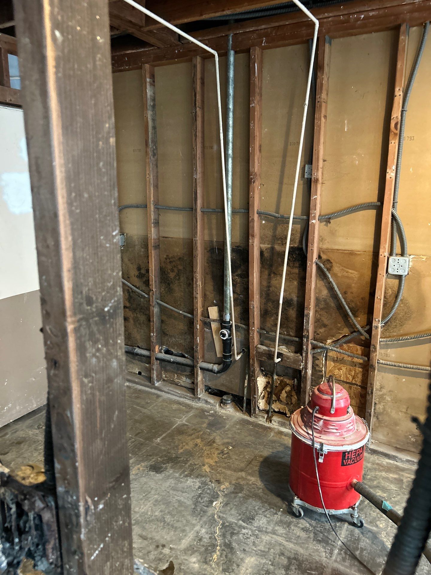 Restoration Solutions Mold Remediation Project