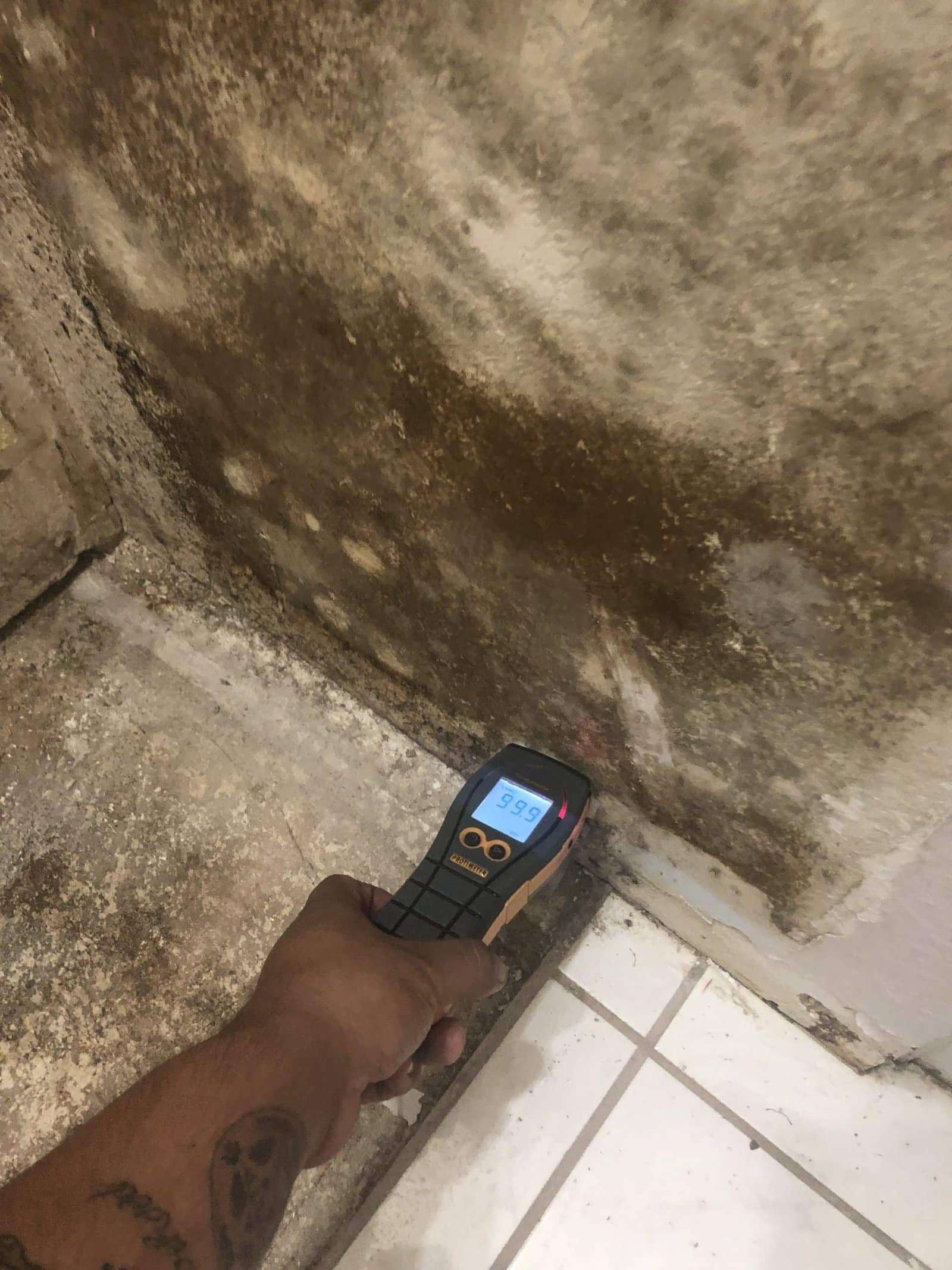 Restoration Solutions Mold Remediation Project